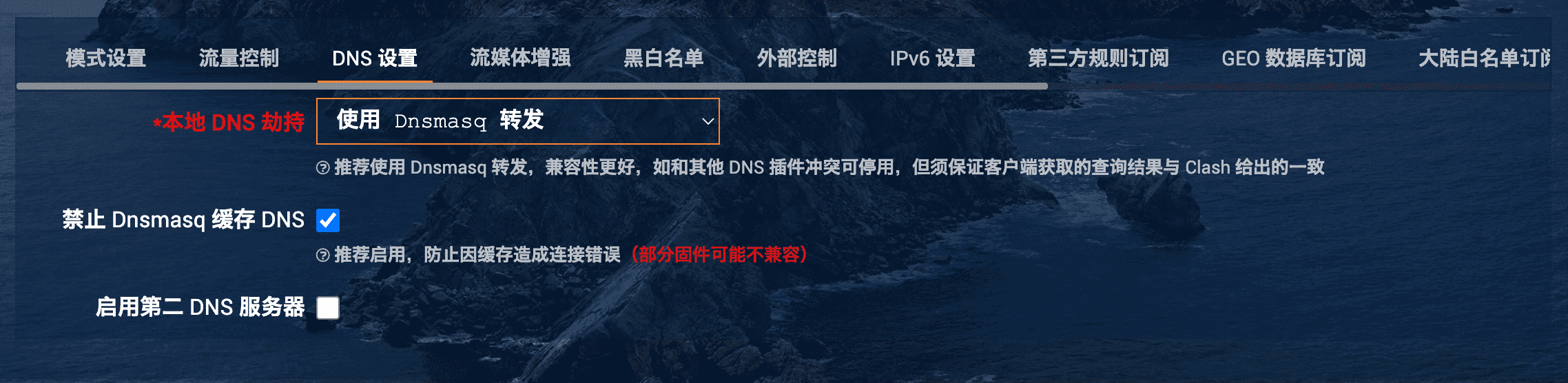 DNS 设置