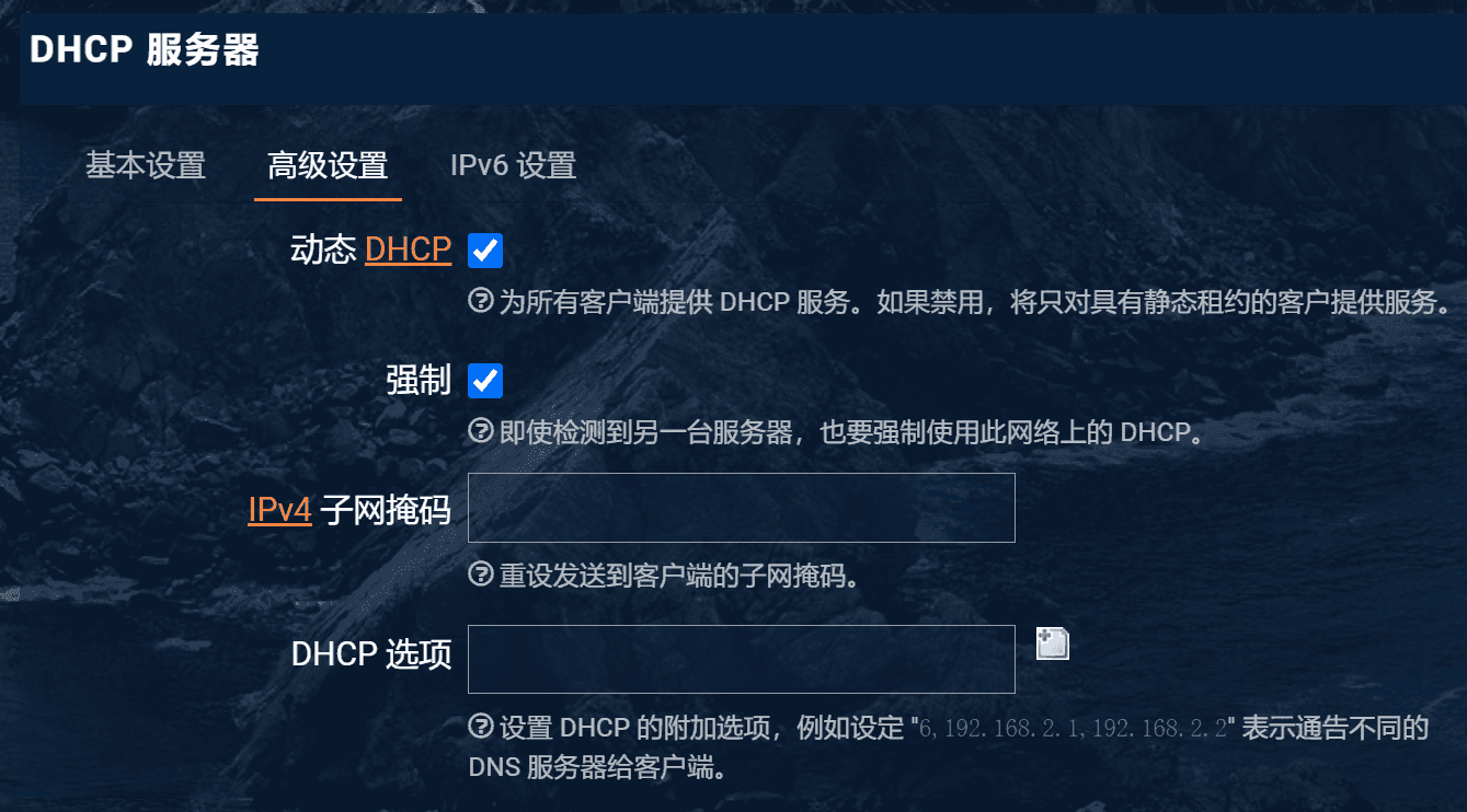 更改 DHCP 设置
