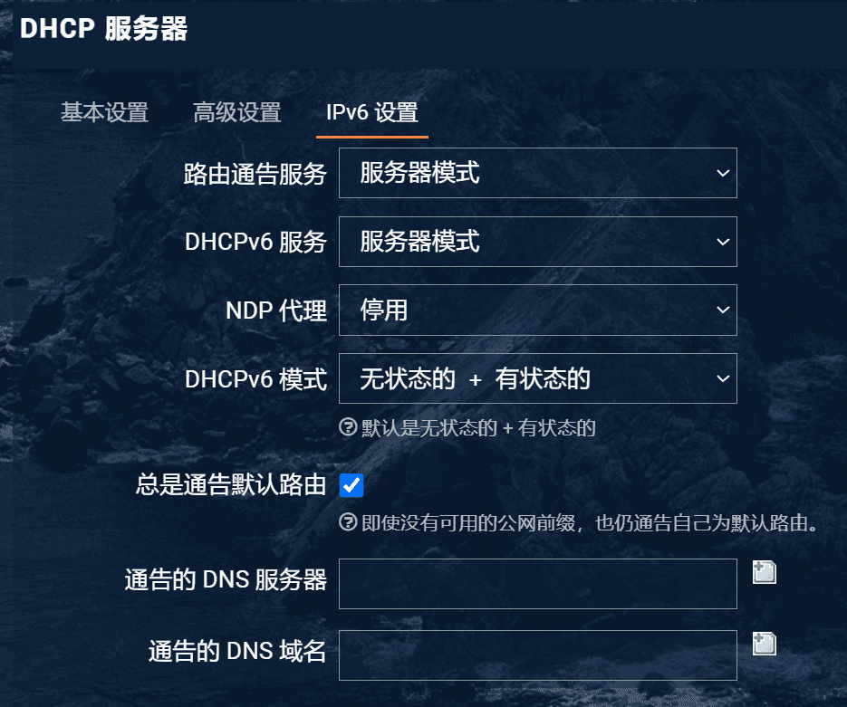 更改 DHCP 设置